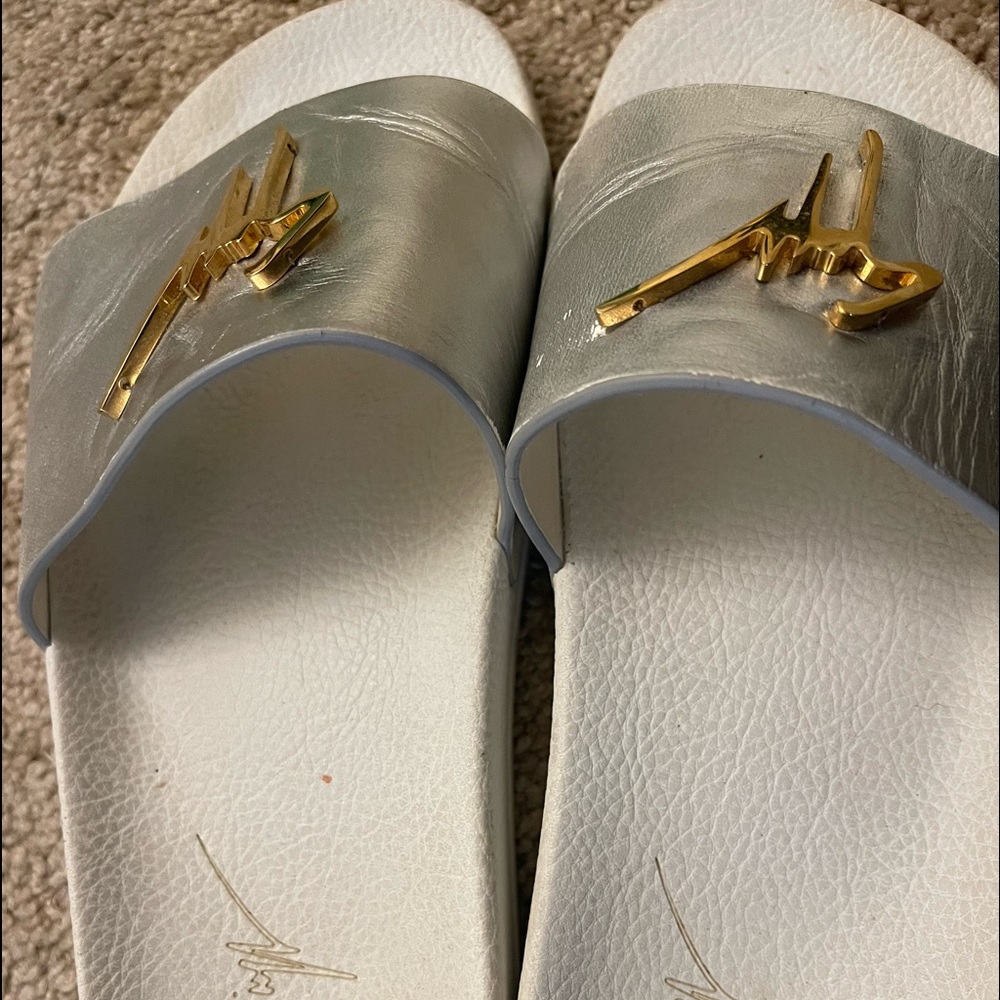 Giuseppe Zanotti slides